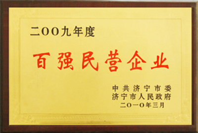 2009年度百强民营企业